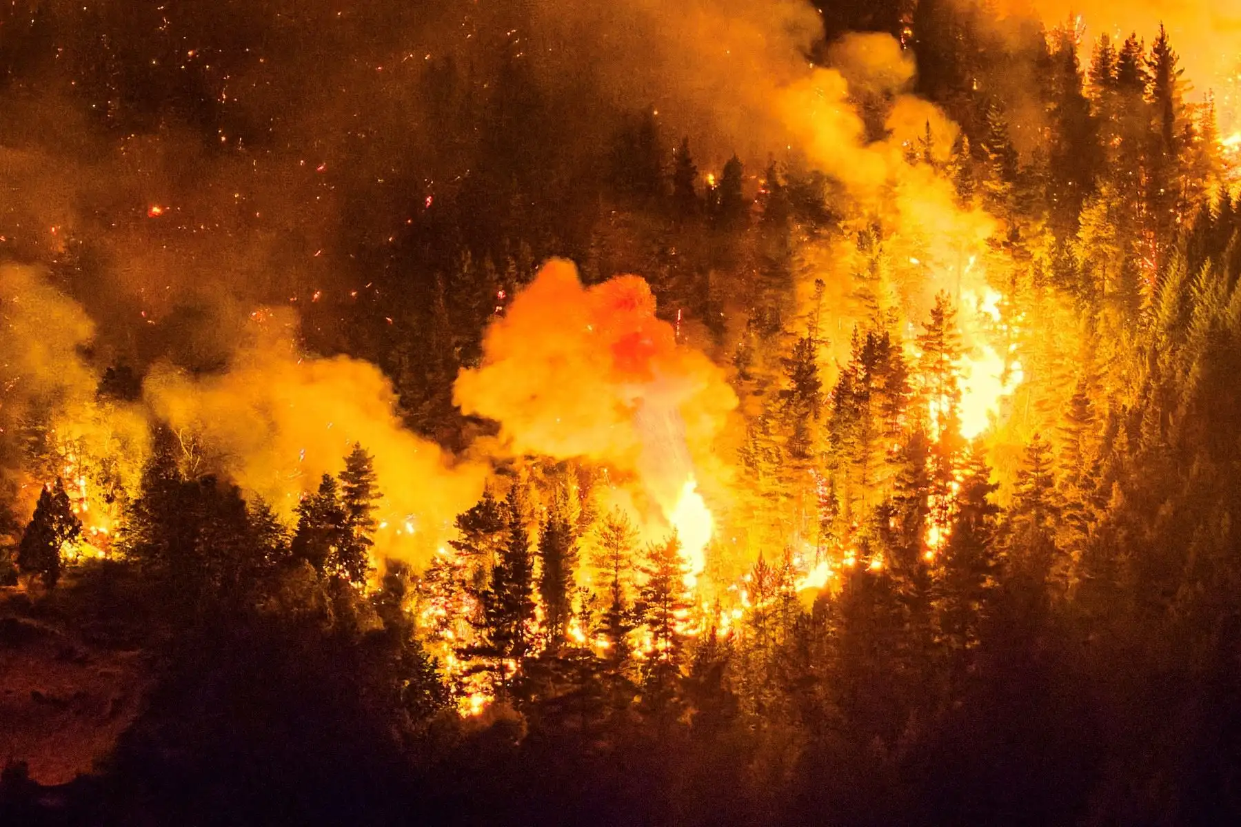 Al menos 3.000 turistas fueron evacuados por incendios forestales que afectan a la Patagonia argentina, especialmente en la provincia de Chubut. El fuego, iniciado cerca de Epuyén, ya consumió unas 2.000 hectáreas y avanzó rápidamente por la sequía y los fuertes vientos. El gobernador Ignacio Torres denunció que uno de los focos fue intencional, mientras brigadistas y medios aéreos continúan las labores de control en varias provincias del sur del país. Foto: AFP