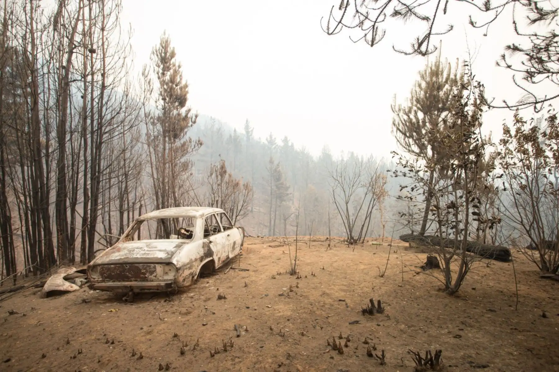 El Servicio Nacional de Manejo del Fuego declaró alerta roja en varias provincias del centro y sur de Argentina. Las autoridades advirtieron que las condiciones climáticas del verano austral mantienen un escenario de alto riesgo para nuevos incendios forestales. Foto: AFP