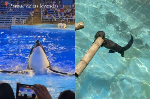 El Parque de las Leyendas mantiene su enfoque en conservación, educación y bienestar animal. Foto: ANDINA/ Difusión