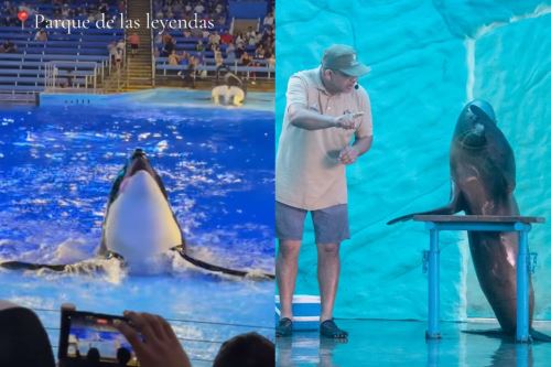 El Parque de las Leyendas mantiene su enfoque en conservación, educación y bienestar animal. Foto: ANDINA/ Difusión