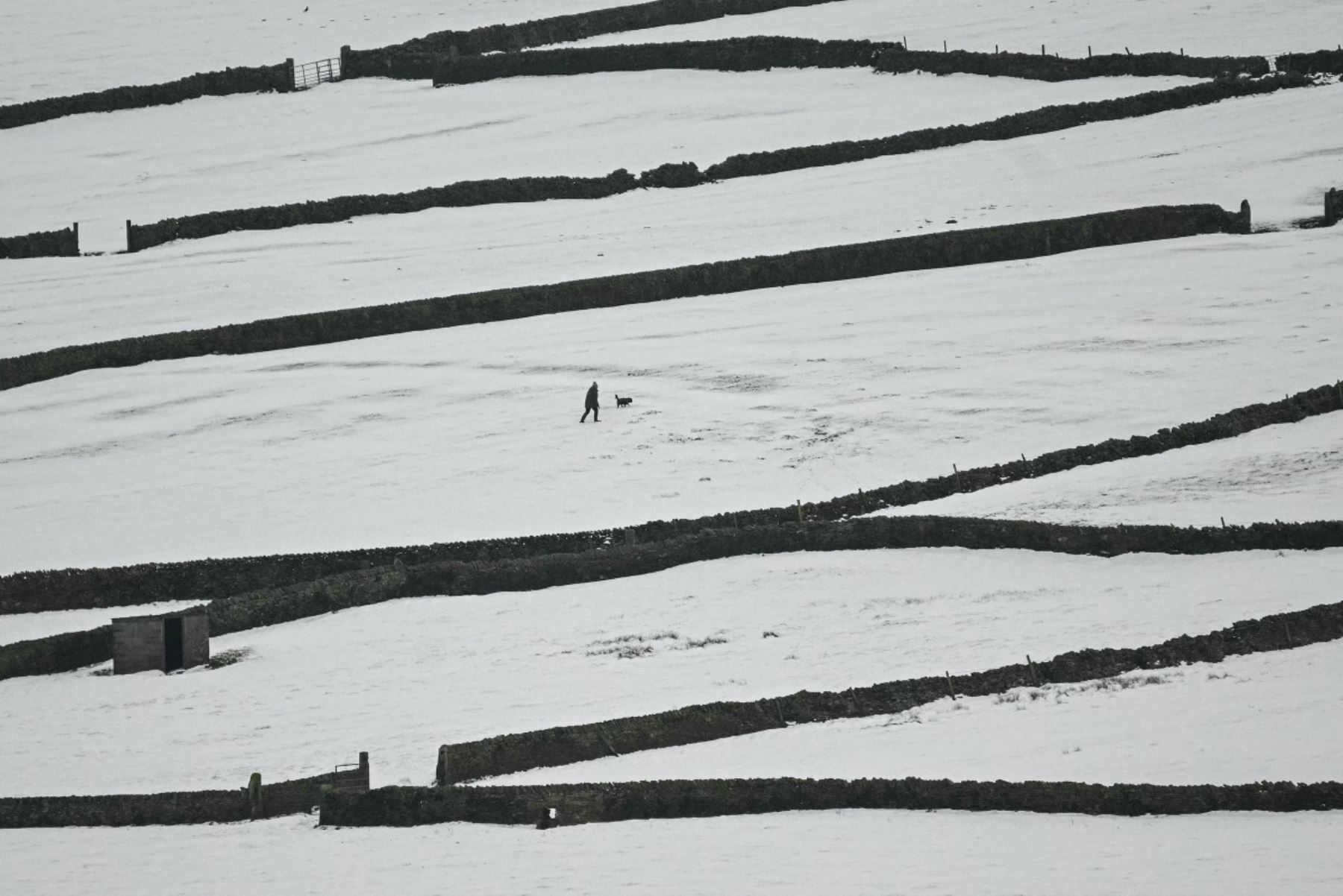 En varias ciudades europeas se activaron planes especiales para atender a personas en situación de vulnerabilidad, ante el descenso brusco de las temperaturas. Albergues temporales y servicios sociales reforzaron su capacidad para brindar protección frente al frío extremo. Foto: ANDINA/AFP