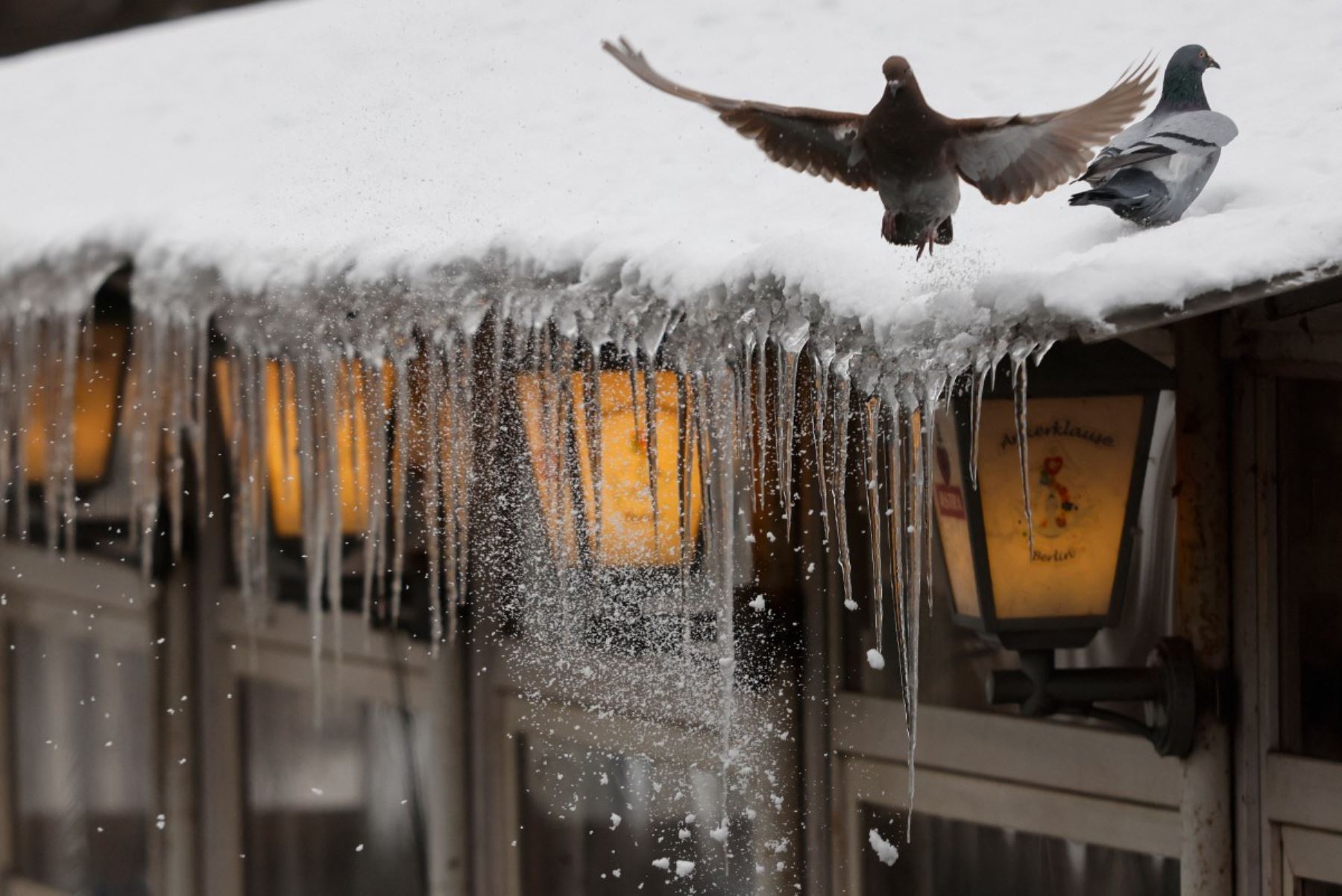 Mientras algunas regiones enfrentan frío intenso y nieve, otras zonas del continente registran temperaturas inusualmente altas para la temporada. Este contraste subraya la creciente inestabilidad climática y el desafío que representa para la planificación urbana y ambiental en Europa. Foto: ANDINA/AFP