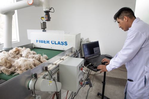 Un proyecto financiado por Prociencia aplica inteligencia artificial para optimizar la clasificación de fibra de alpaca, generando impactos positivos en la cadena productiva y mejorando los ingresos de pequeños productores.