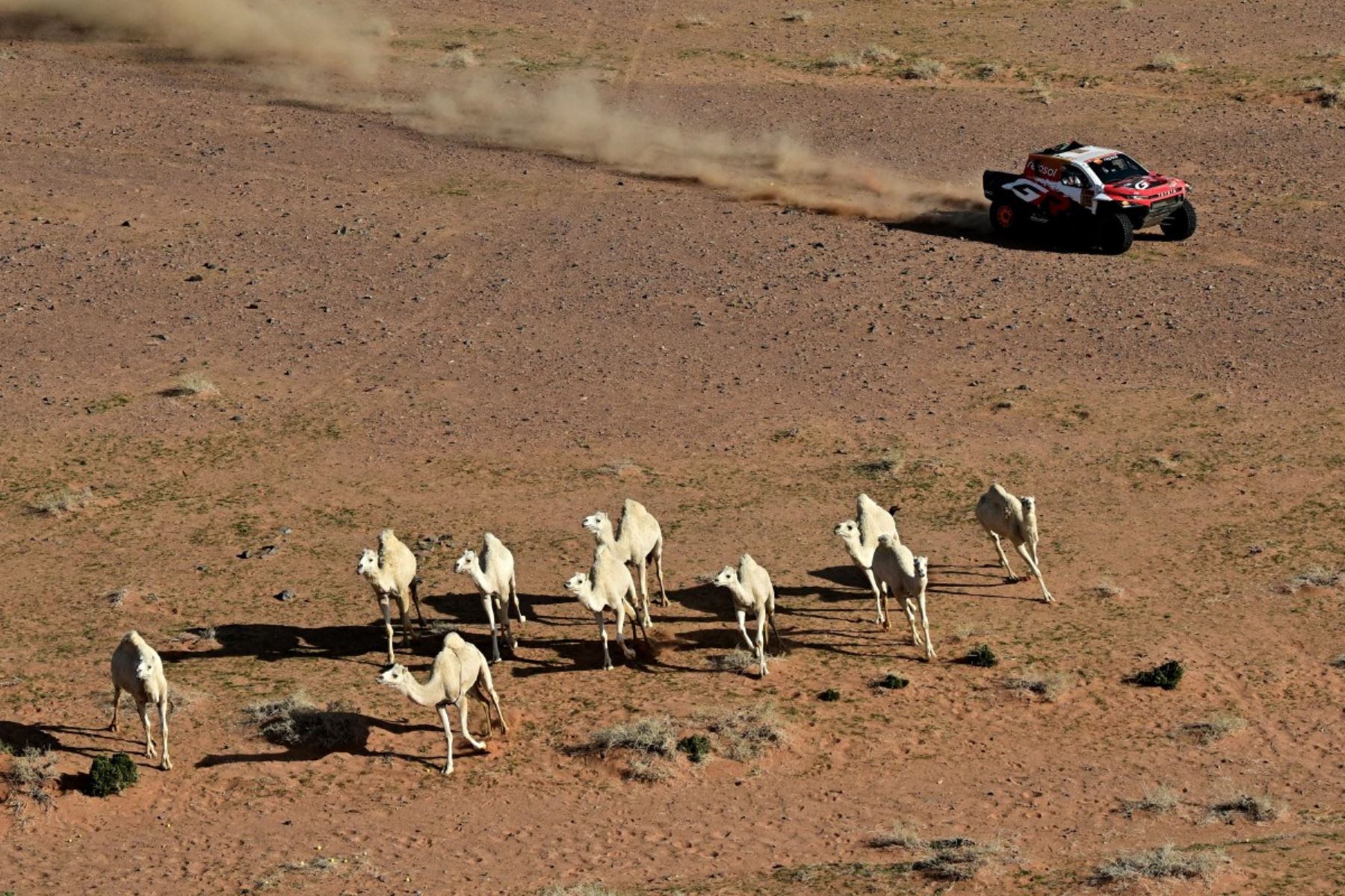 La categoría de motos mantiene la máxima tensión competitiva, con constantes cambios de posiciones y sanciones que alteran el orden de llegada. La precisión en el manejo y el cumplimiento estricto de las normas se vuelven tan importantes como la velocidad en el desierto. Foto: AFP