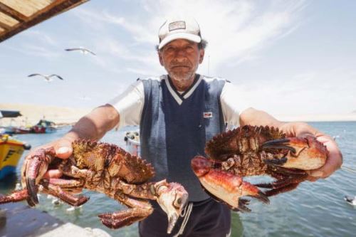 Foto: ANDINA/difusión.