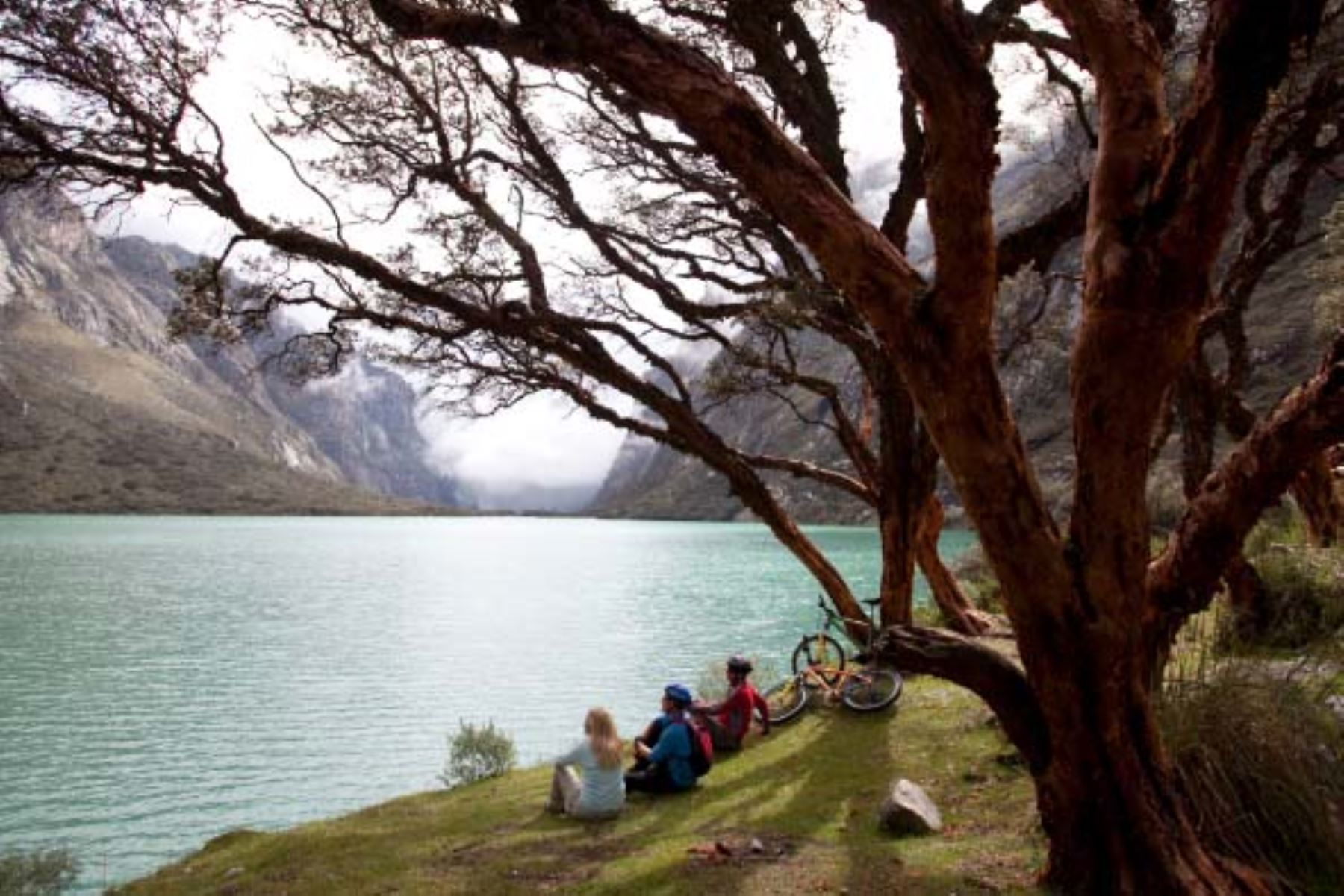 Las rutas altoandinas destacan por su valor escénico y por atravesar entornos naturales de gran fragilidad ambiental. Foto: ANDINA/Difusión