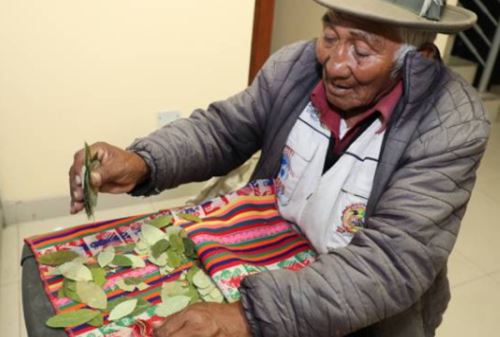 Felipe Charca, usuario del programa social Pensión 65 del Midis y curandero de Tacna que ve el futuro en hojas de coca.