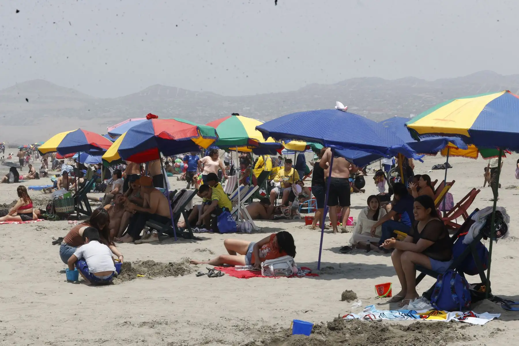 Desde tempranas horas del día, llegan una gran cantidad de bañistas al balneario Costa Azul de Ventanilla, en compañía de familiares y amigos para disfrutar del buen sol.
Foto: ANDINA/Vidal Tarqui