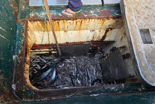 Lo incautado asciende a un valor aproximado de dos millones quinientos mil soles.