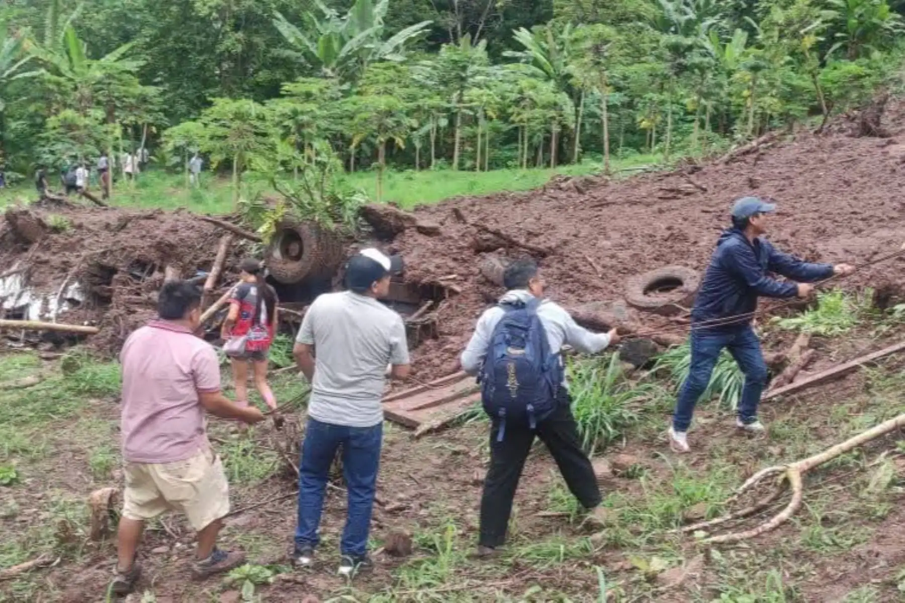 Con cuatro fallecidos, el distrito de Perené, ubicado en la provincia de Chanchamayo, es el más afectado por la actual temporada de lluvias. ANDINA/Difusión