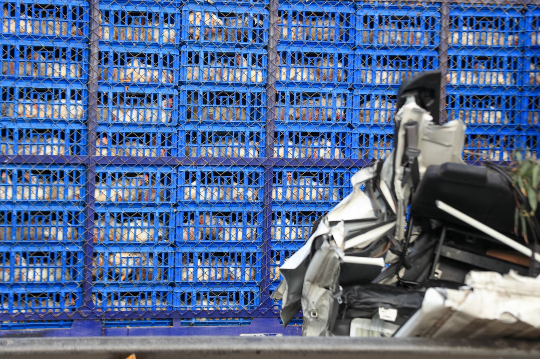 Las causas del accidente aún son materia de investigación por parte de la Policía, que no descarta exceso de velocidad o una colisión en cadena mientras se realizaban labores de limpieza vial en horas de la madrugada. Foto: ANDINA/Ricardo Cuba