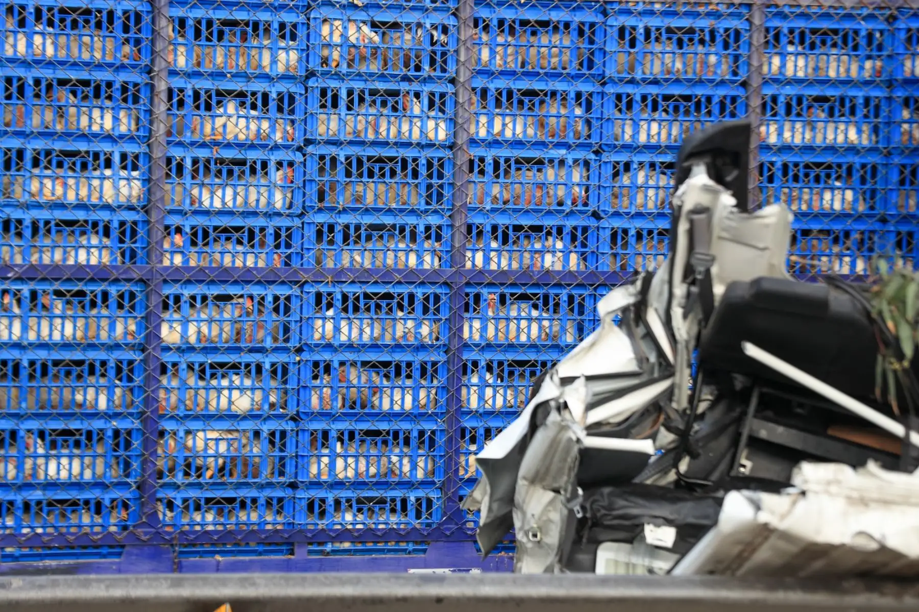 Las causas del accidente aún son materia de investigación por parte de la Policía, que no descarta exceso de velocidad o una colisión en cadena mientras se realizaban labores de limpieza vial en horas de la madrugada. Foto: ANDINA/Ricardo Cuba