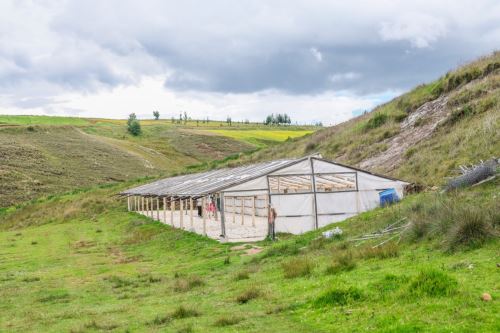 Medidas del Gobierno buscan reducir la vulnerabilidad de los agricultores y sus medios de vida ante heladas y friaje. Foto: MIDAGRI/Difusión.