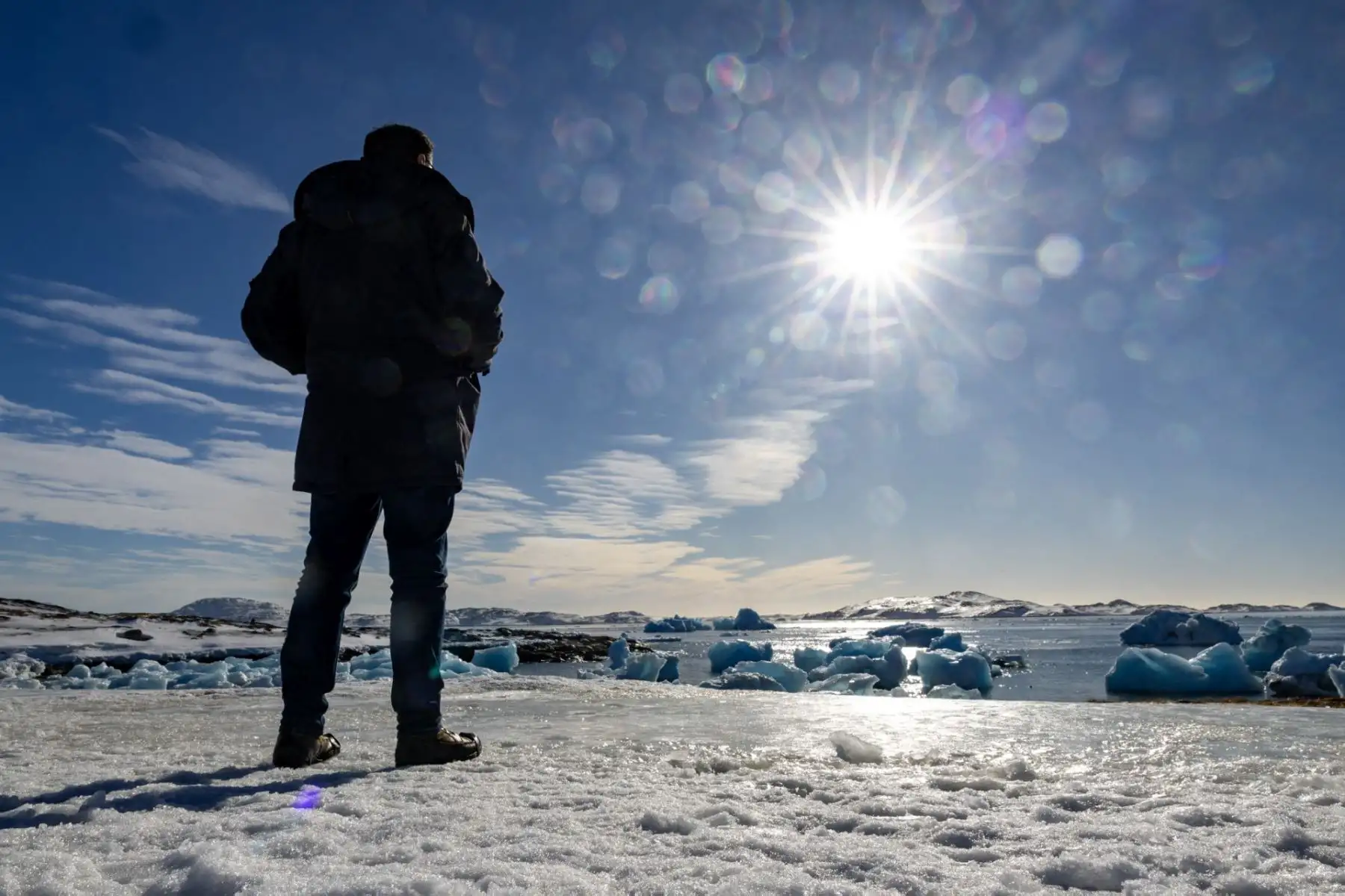 La fauna marina y terrestre es parte esencial del ecosistema local, con especies adaptadas a las condiciones del Ártico, como focas, ballenas y aves marinas. Foto: ANDINA/AFP