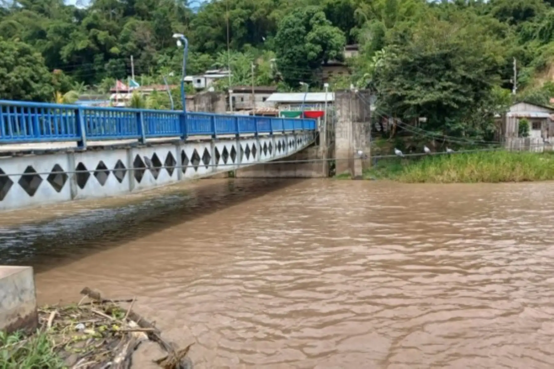 El incremento del nivel del río Ucayali podría generar inundaciones que afectarían principalmente a los distritos de Pampa Hermosa, Vargas Guerra e Inahuaya, así como a zonas agrícolas y sectores bajos de la ciudad de Contamana. Foto: Senamhi