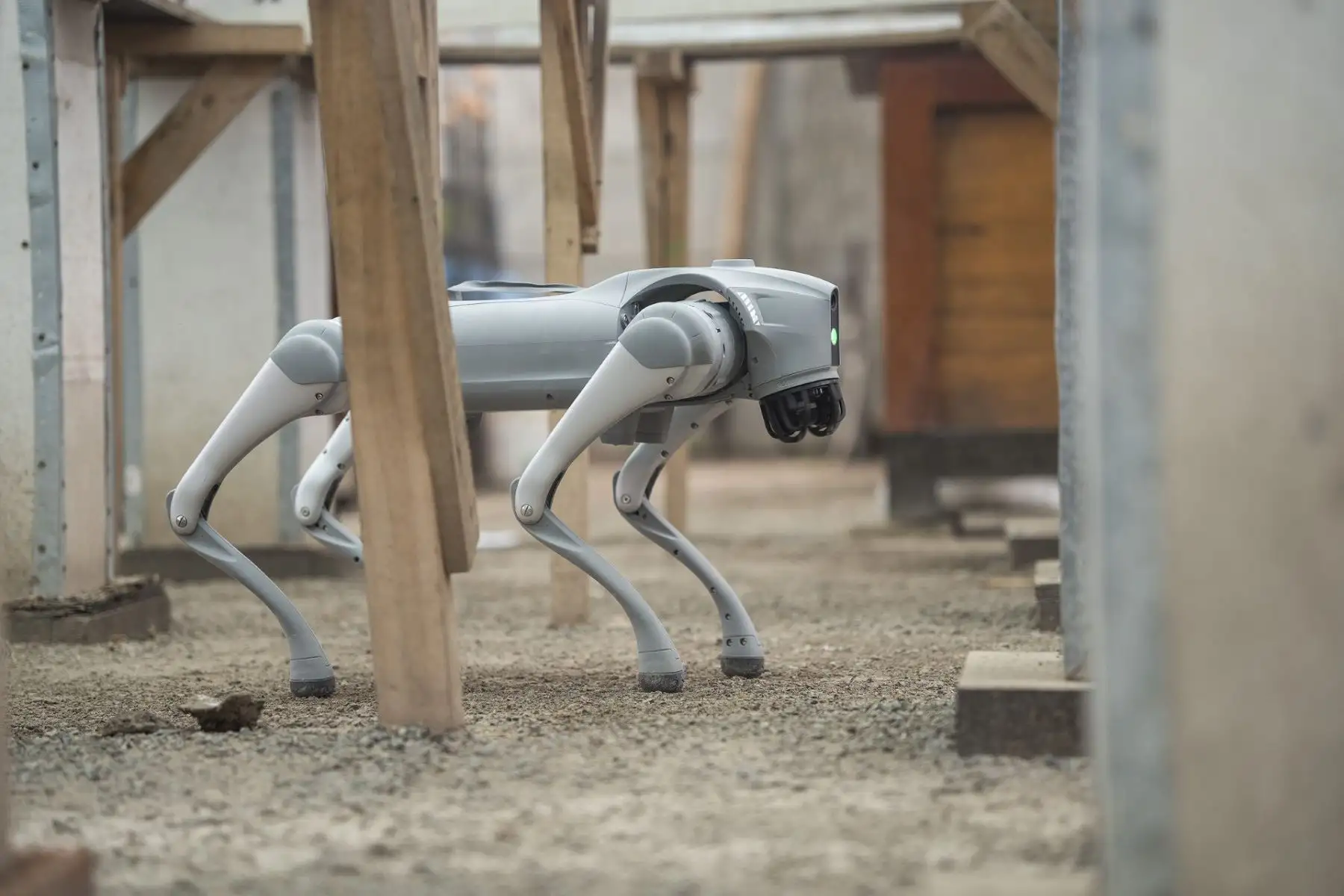 El perro robot registra imágenes, videos y data en tiempo real, información clave para documentar inmuebles históricos y evaluar daños sin exponer al equipo humano.