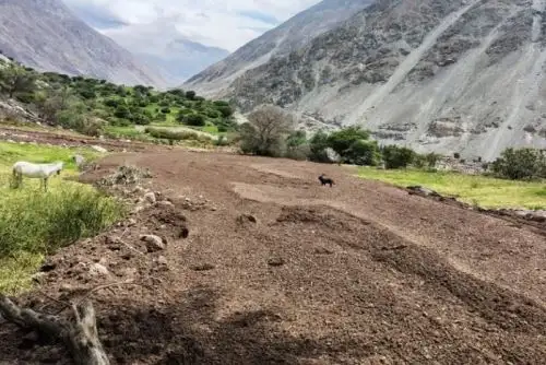 COER Arequipa realiza el seguimiento permanente de la situación y mantiene comunicación con el equipo técnico de los distritos afectados.