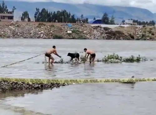 Pobladores destacaron la labor de policías y serenos de la ciudad de Huancayo que unieron esfuerzos para rescatar a un perro rottweiler que estuvo tres días atrapado en un islote del río Mantaro. ANDINA/Difusión