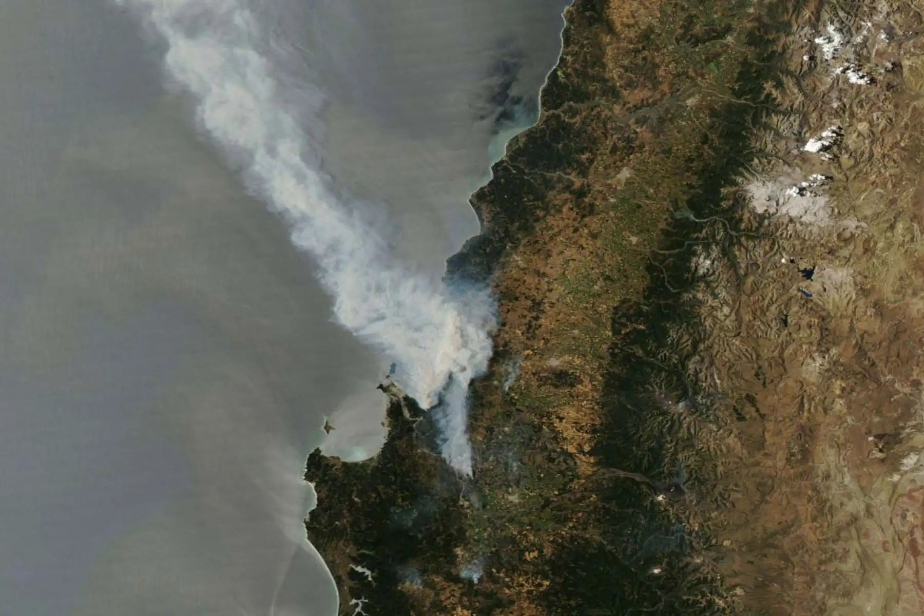 En localidades como Lirquén y Penco, el fuego avanzó con rapidez durante la madrugada, destruyendo barrios completos y obligando a evacuaciones masivas. Autoridades confirmaron que más de 1.000 viviendas resultaron destruidas o con daños severos a causa de los incendios. Foto: AFP