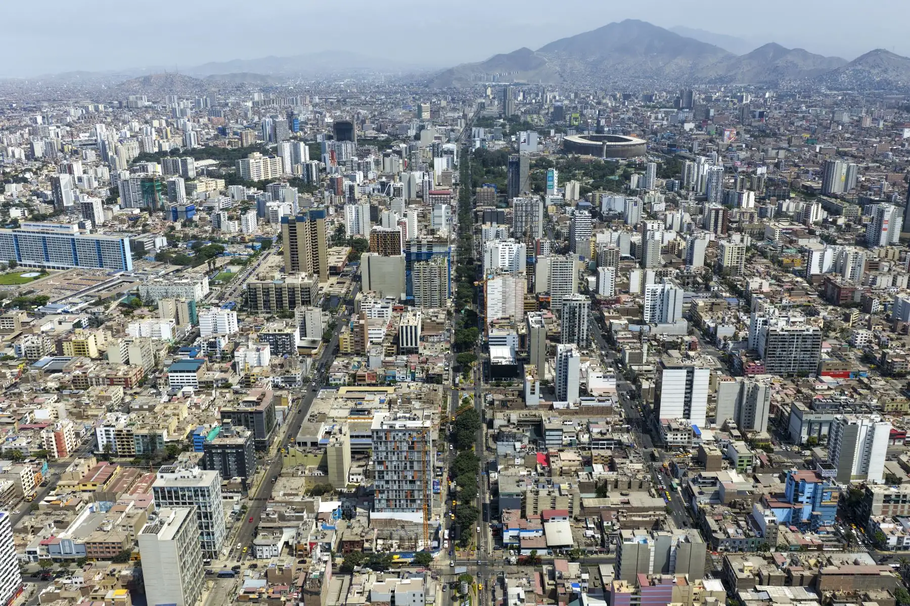 La Autoridad de Transporte Urbano (ATU) anunció que entre mayo y junio se iniciará la implementación de una vía exclusiva para el Corredor Azul en la avenida Arequipa, con el objetivo de priorizar el transporte público. Foto: ANDINA/Ricardo Cuba
Foto:ANDINA / Juan Carlos Guzmán Negrini