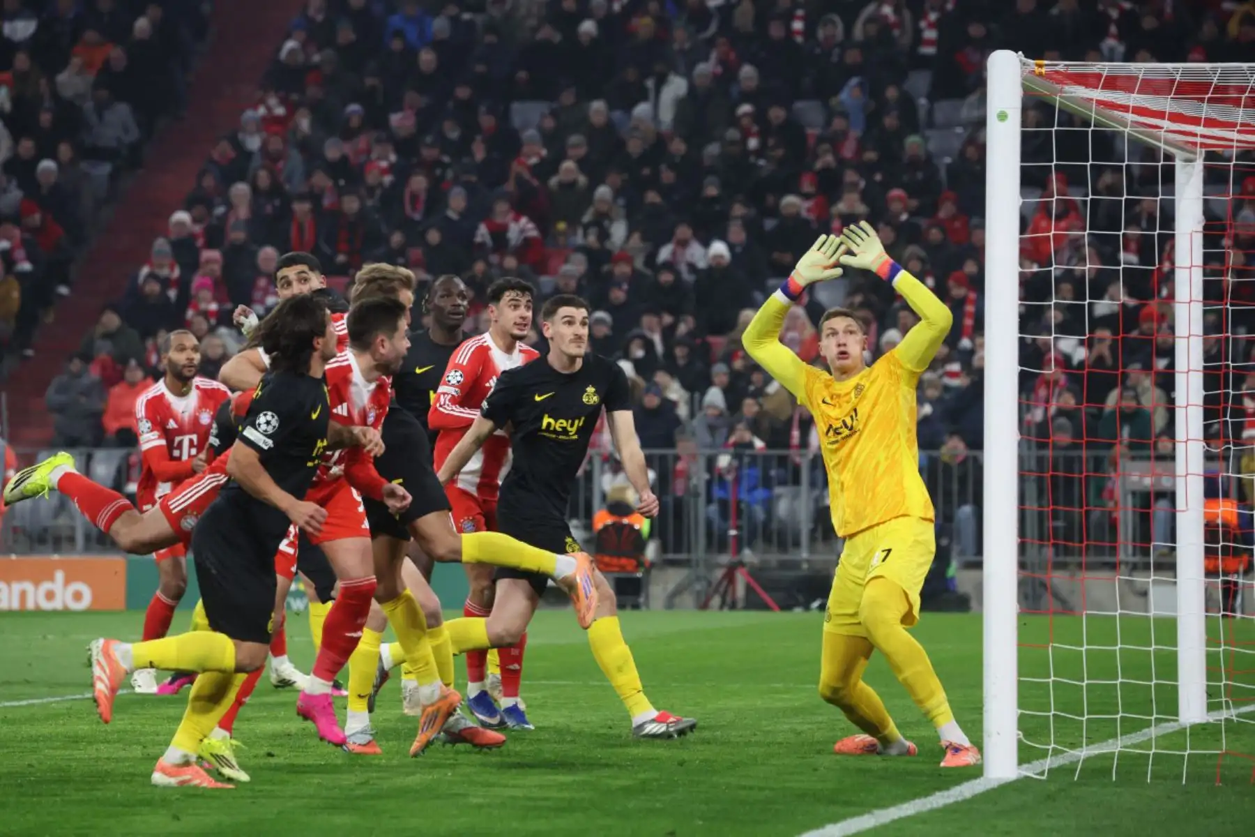 El portero holandés del Union St-Gilloise, Kjell Scherpen , observa el balón durante el partido de la UEFA Champions League entre el FC Bayern Munich y el Union St-Gilloise en Múnich, sur de Alemania.
Foto: AFP