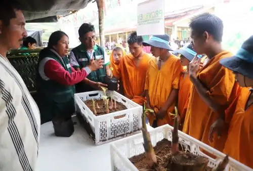 Más de 108,000 agricultores, ganaderos y artesanos de localidades alejadas del pais serán capacitados por el programa PAIS para mejorar su trabajo diario y generar mayores ingresos para el bienestar de sus familias. ANDINA/Difusión