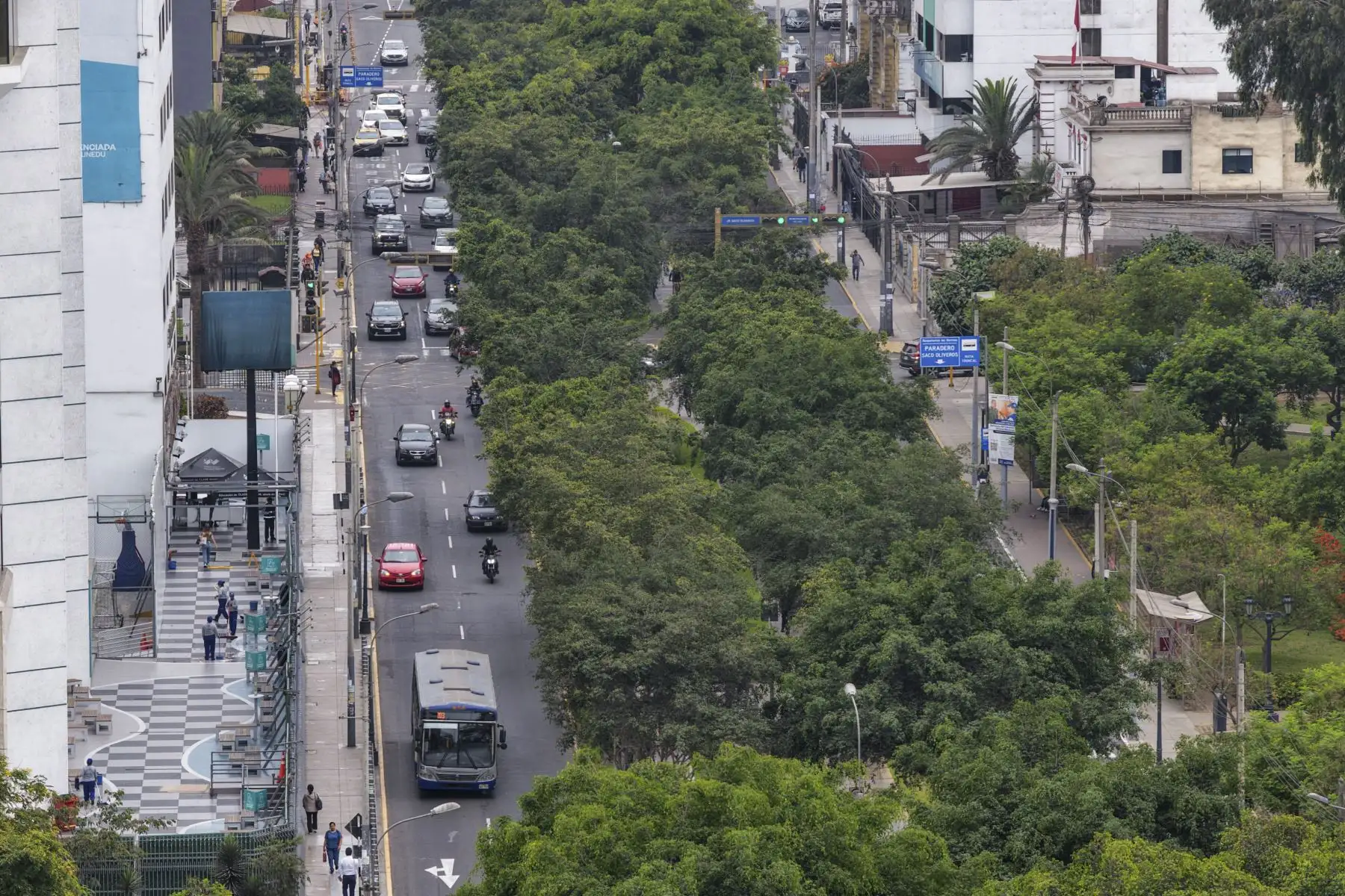 La Autoridad de Transporte Urbano (ATU) anunció que entre mayo y junio se iniciará la implementación de una vía exclusiva para el Corredor Azul en la avenida Arequipa, con el objetivo de priorizar el transporte público. Foto: ANDINA/Ricardo Cuba Foto: ANDINA/Ricardo Cuba