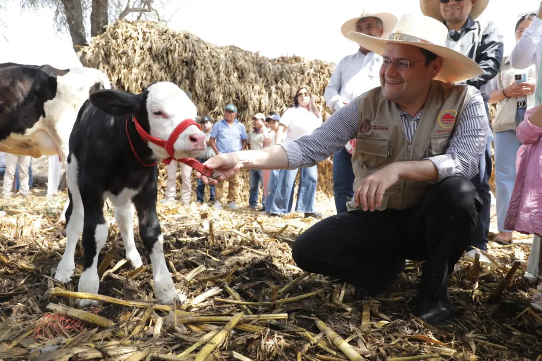 Impacto económico directo. El proyecto permite a los productores un ahorro aproximado de S/ 1,080 frente a los costos del servicio privado, reafirmando el compromiso del Estado con el desarrollo rural y el incremento de ingresos familiares. Foto: ANDINA/Gore Lambayeque