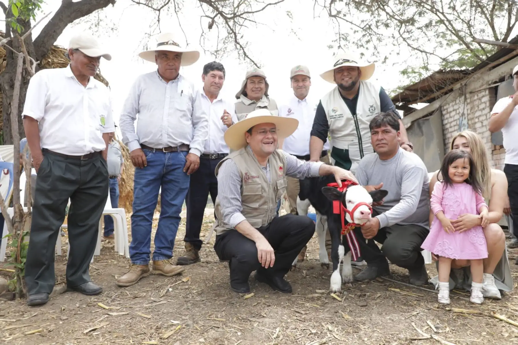 Cadena productiva fortalecida. La iniciativa contempla mejoras en alimentación, genética y elaboración de derivados lácteos como yogurt y queso, impulsando el valor agregado y nuevas oportunidades de comercialización en el campo lambayecano. Foto: ANDINA/Gore Lambayeque