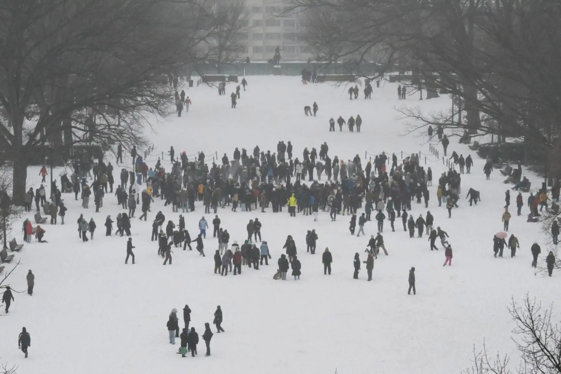 Personas participan en una pelea de bolas de nieve en el parque Meridian Hill de Washington, D.C.
Una enorme tormenta invernal dejó nieve y lluvia helada desde Nuevo México hasta Carolina del Norte a medida que azotaba Estados Unidos hacia el noreste, amenazando a decenas de millones de estadounidenses con apagones, caos en el transporte y un frío glacial. 
Foto: AFP