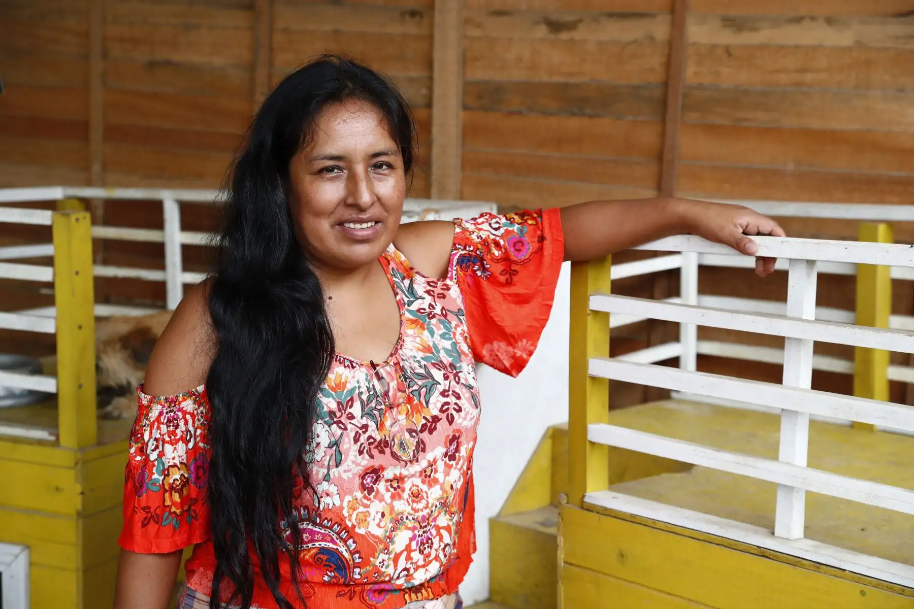 Sara Saume Yucra es procedente de Mi Perú, en el distrito de Ventanilla, y es directora del proyecto “Los Callejeritos sin Hogar", dedicada a la labor desinteresada del rescate de animales en situación de calle desde hace unos 3 años. Además de los albergues de animales que administra en Ventanilla y Jicamarca, Sara incluso usa su propia casa para dar refugio a algunos perros y gatos abandonados. Foto: ANDINA/Daniel Bracamonte