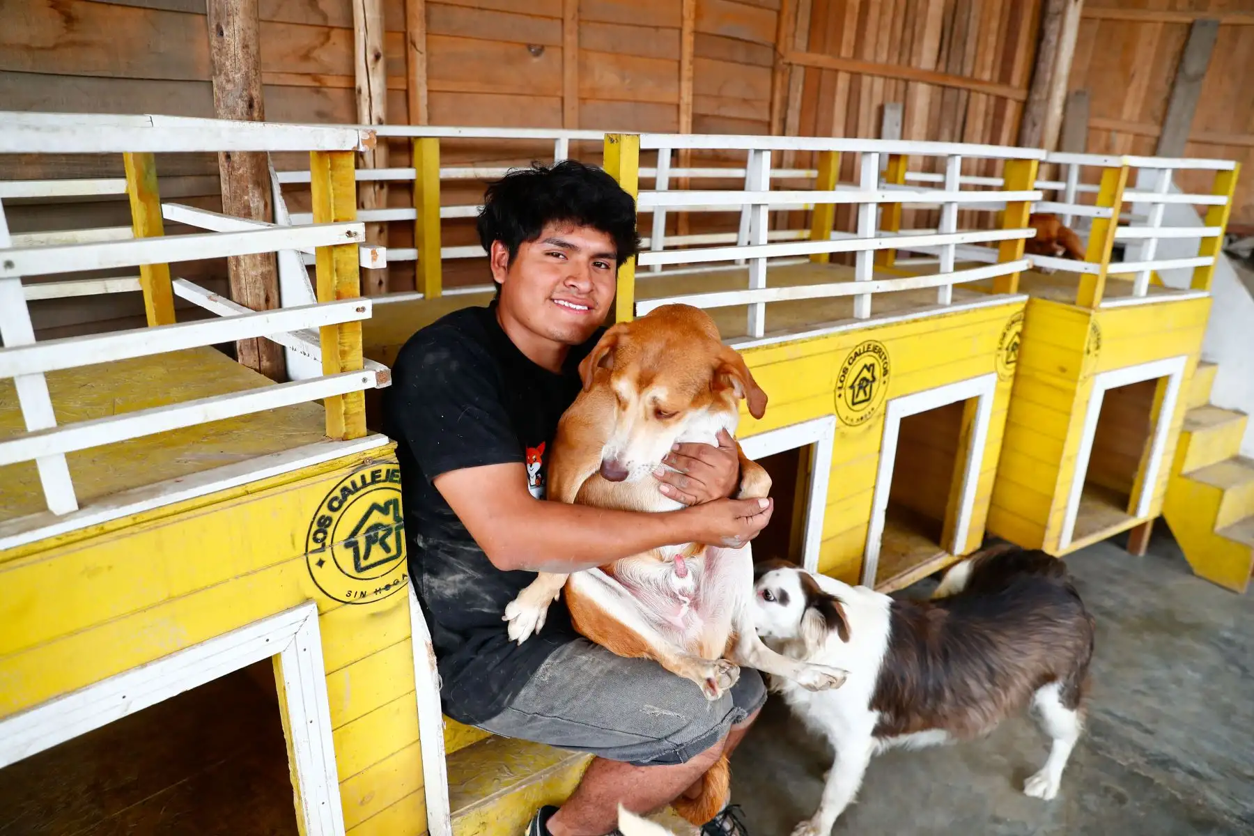 Cliever Torres Coras vive en Jicamarca y es cofundador del proyecto “Los Callejeritos sin Hogar", que da hogar temporal a más de 80 animales abandonados en el albergue de Jicamarca anexo 22 de San Juan de Lurigancho, y a cerca de 37 animales en los albergues de "Mi Perú" en Ventanilla, Callao. Foto: ANDINA/Daniel Bracamonte