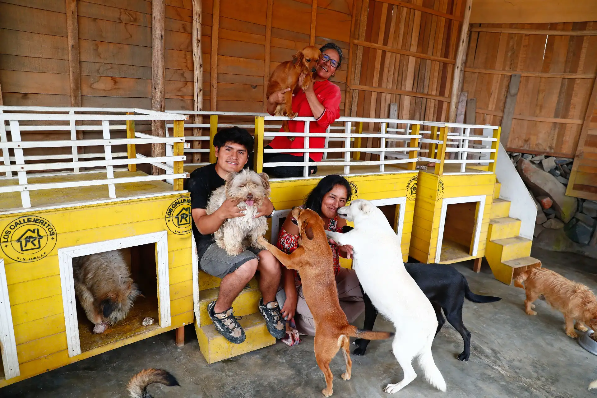 Sara Saume, Felicita Ninasaume y Cliever Torres están a cargo del albergues “Los Callejeritos sin Hogar" en Jicamarca desde hace unos dos años, en donde tienen albergados a unos 80 animales entre perros y gatos abandonados, donde además de contar con un hogar temporal, son alimentados y reciben atención médica si lo requieren. Foto: ANDINA/Daniel Bracamonte