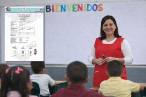 Profesor, docente, docentes colegio, matrícula escolar 