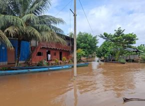 El distrito de Huimbayoc, ubicado en la zona del Bajo Huallaga, en la provincia y región San Martín, es uno de los más afectados por las constantes lluvias intensas que provocaron el desborde de ríos y afluentes que cruzan esta juriscción. ANDINA/Difusión