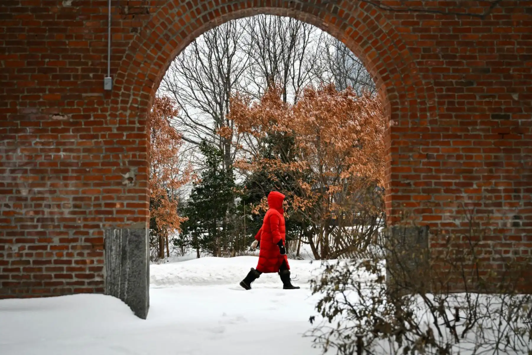 Una mujer camina por la nieve en el barrio de Brooklyn, Nueva York. Una tormenta monstruosa que azotaba Estados Unidos causó la muerte de al menos 11 personas el lunes, lo que provocó advertencias para evitar circular por carretera, cancelaciones masivas de vuelos y cortes de electricidad tras un fin de semana desastroso.
Foto: AFP
