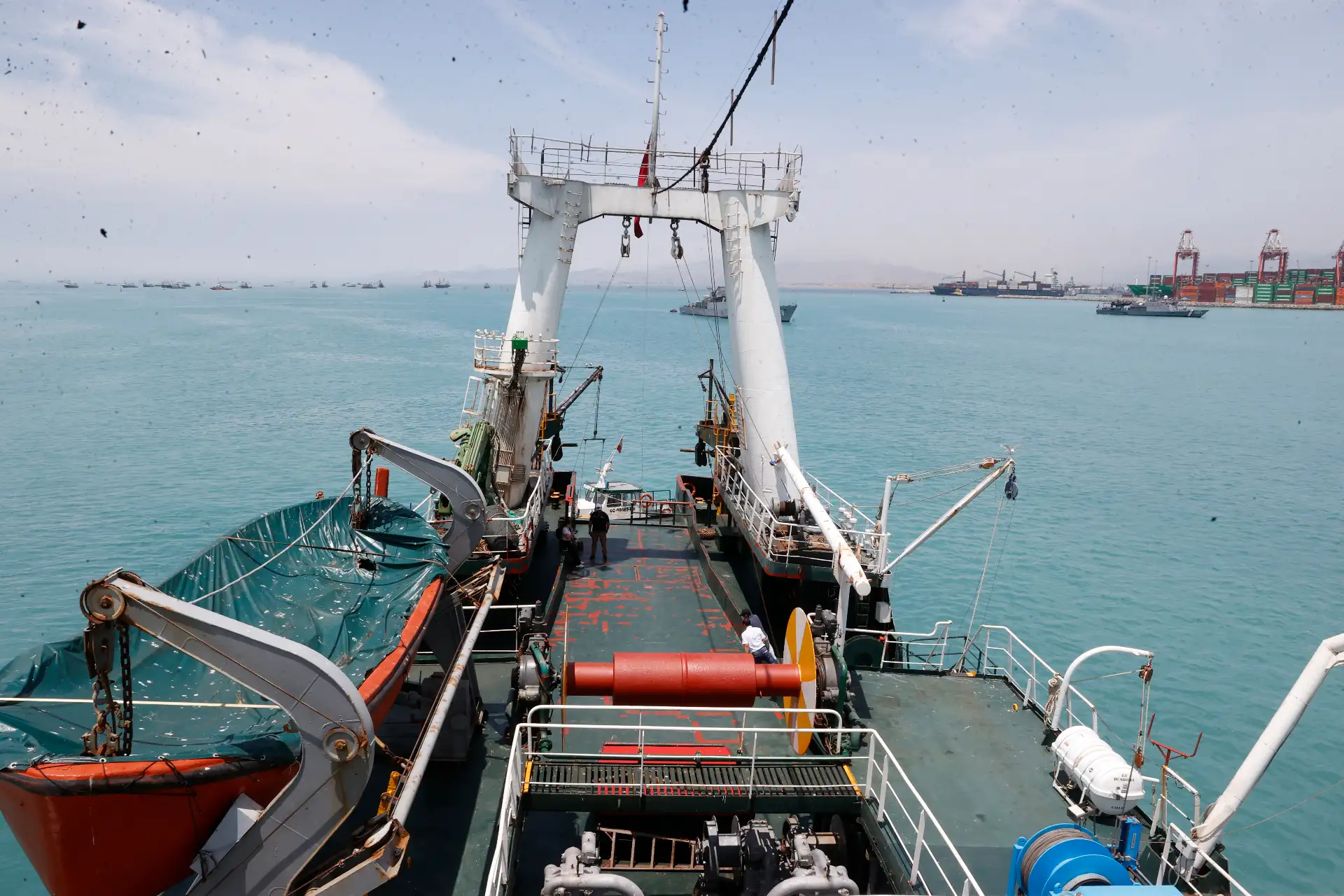 Con el objetivo de reforzar estas labores, el Perú sumará un nuevo buque científico que complementará el trabajo del BAP Humboldt, ampliando la capacidad de investigación del mar peruano y fortaleciendo el estudio de los ecosistemas marinos y los efectos del cambio climático. 
Foto: ANDINA/Vidal Tarqui