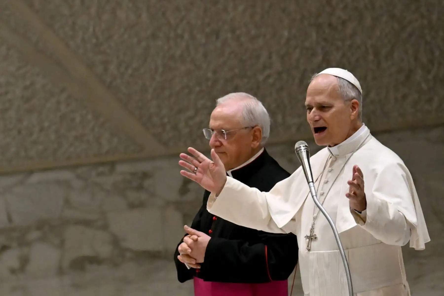 El Papa León XIV imparte su bendición durante su audiencia general semanal en el Aula Pablo VI del Vaticano el 28 de enero de 2026. Foto: ANDINA/AFP