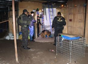 La Policía Nacional ejecuta un megaoperativo y allana tres inmuebles en la ciudad de Arequipa. ANDINA/Difusión