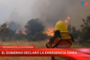 Esta captura de video muestra un sector afectado por las llamas en la Patagonia argentina. Imagen: Internet/X