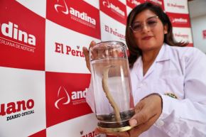 Gusano tubular de 250 años habita mar peruano y es joya de colección de Imarpe.  Fotos: ANDINA/Juan Carlos Guzmán