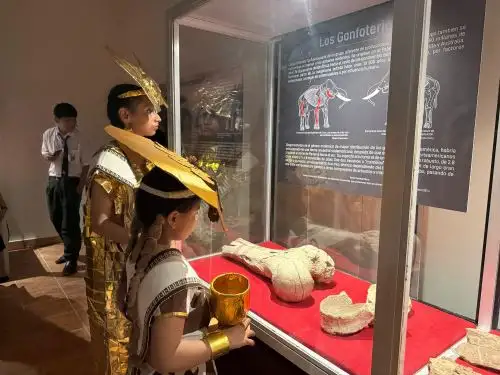 Museo de Sitio Huaca Rajada–Sipán, ubicado en el distrito de Zaña, región Lambayeque, inauguró  la exposición “Memorias del Planeta : Mar y Tierra”, una muestra de profundo significado para la arqueología, la paleontología y la defensa del patrimonio cultural.  ANDINA/Difusión