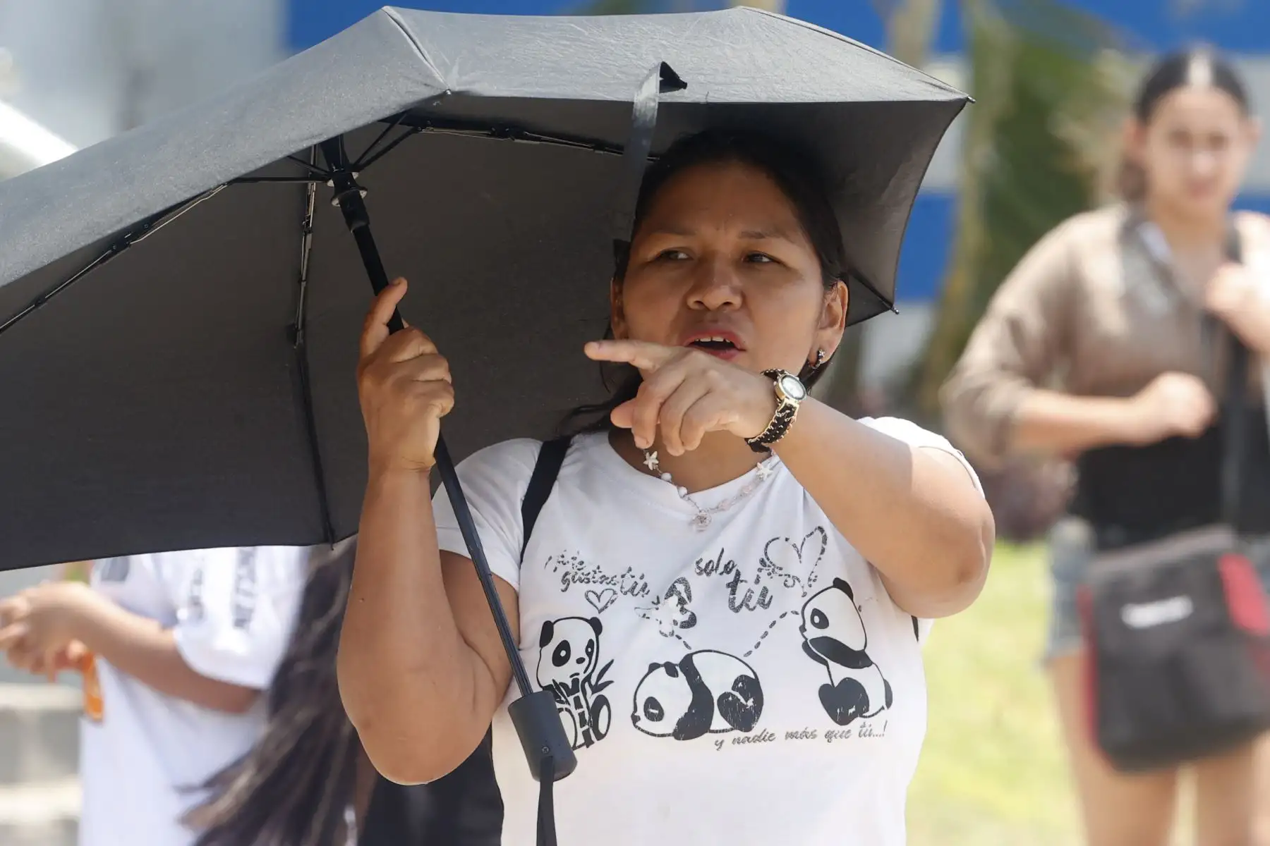 Durante las últimas semanas, Lima experimenta numerosos días de sol sofocante que han animado a las familias limeñas,ir a las playas, entre ellas, la playa Agua Dulce en Chorrillos.
Foto: ANDINA/ Vidal Tarqui