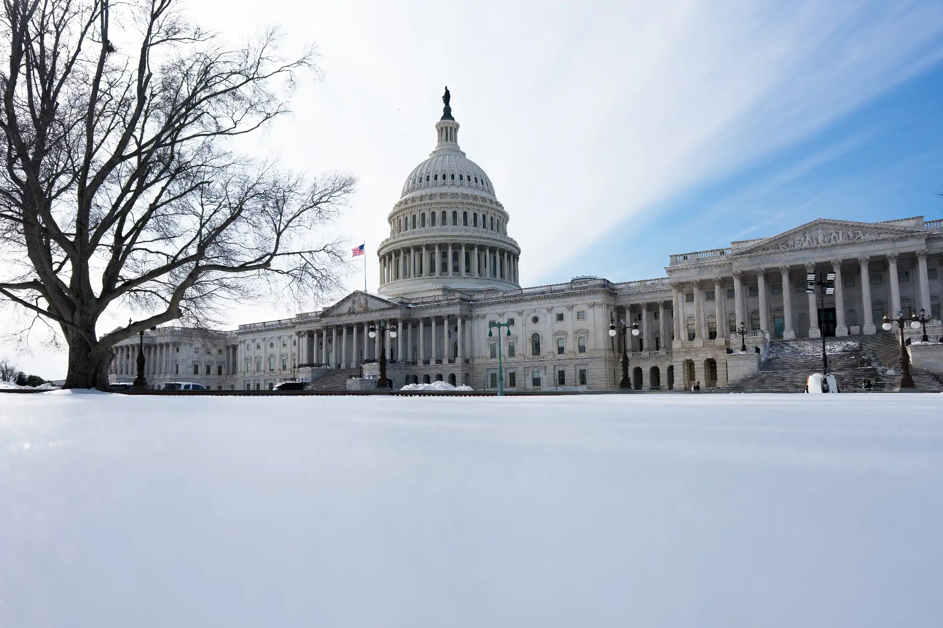 La nieve cubre el suelo frente al Capitolio de los Estados Unidos en Washington, D.C.
Foto: AFP