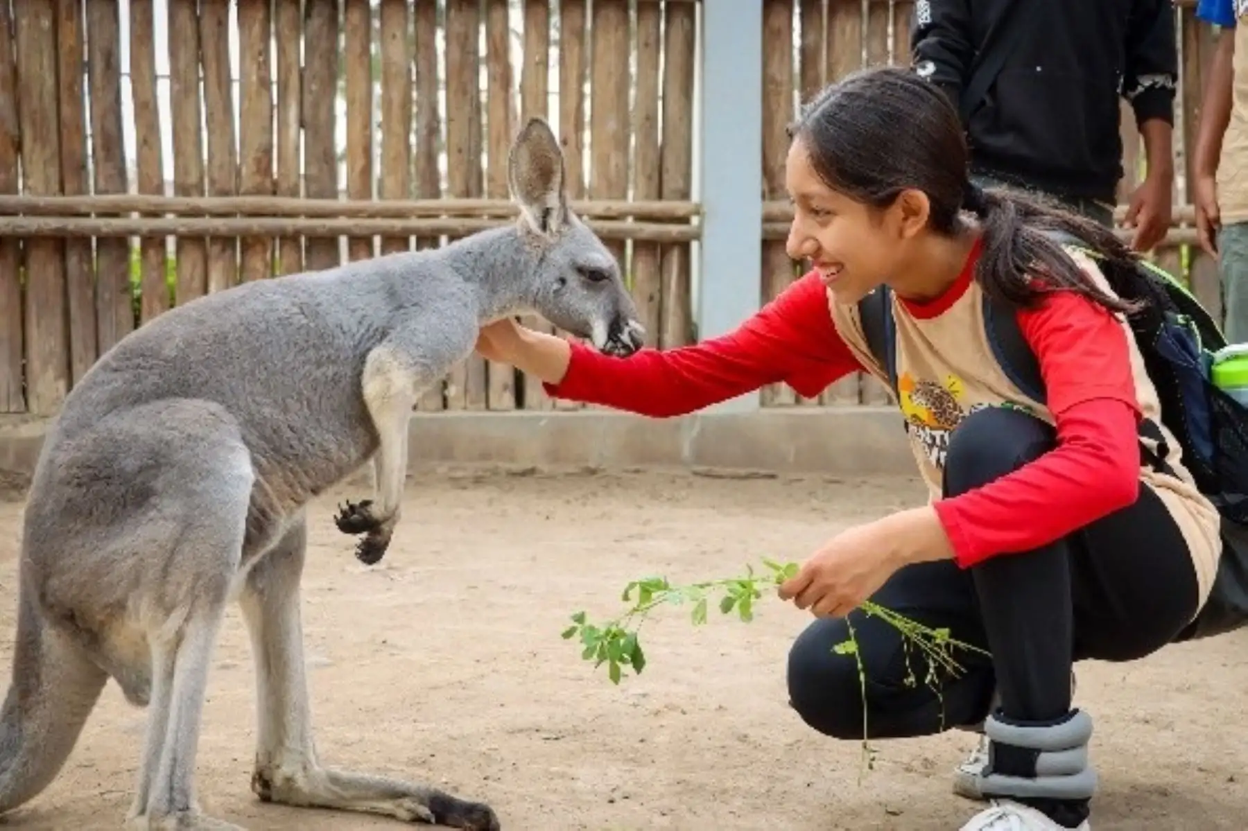 Parque de las Leyendas abrirá este 11 y 12 de abril con descuentos para los niños
