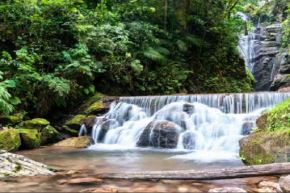 Las autoridades recalcaron que mientras persistan estas condiciones climáticas extremas, los senderos y áreas de baño representan un riesgo por posibles deslizamientos. 