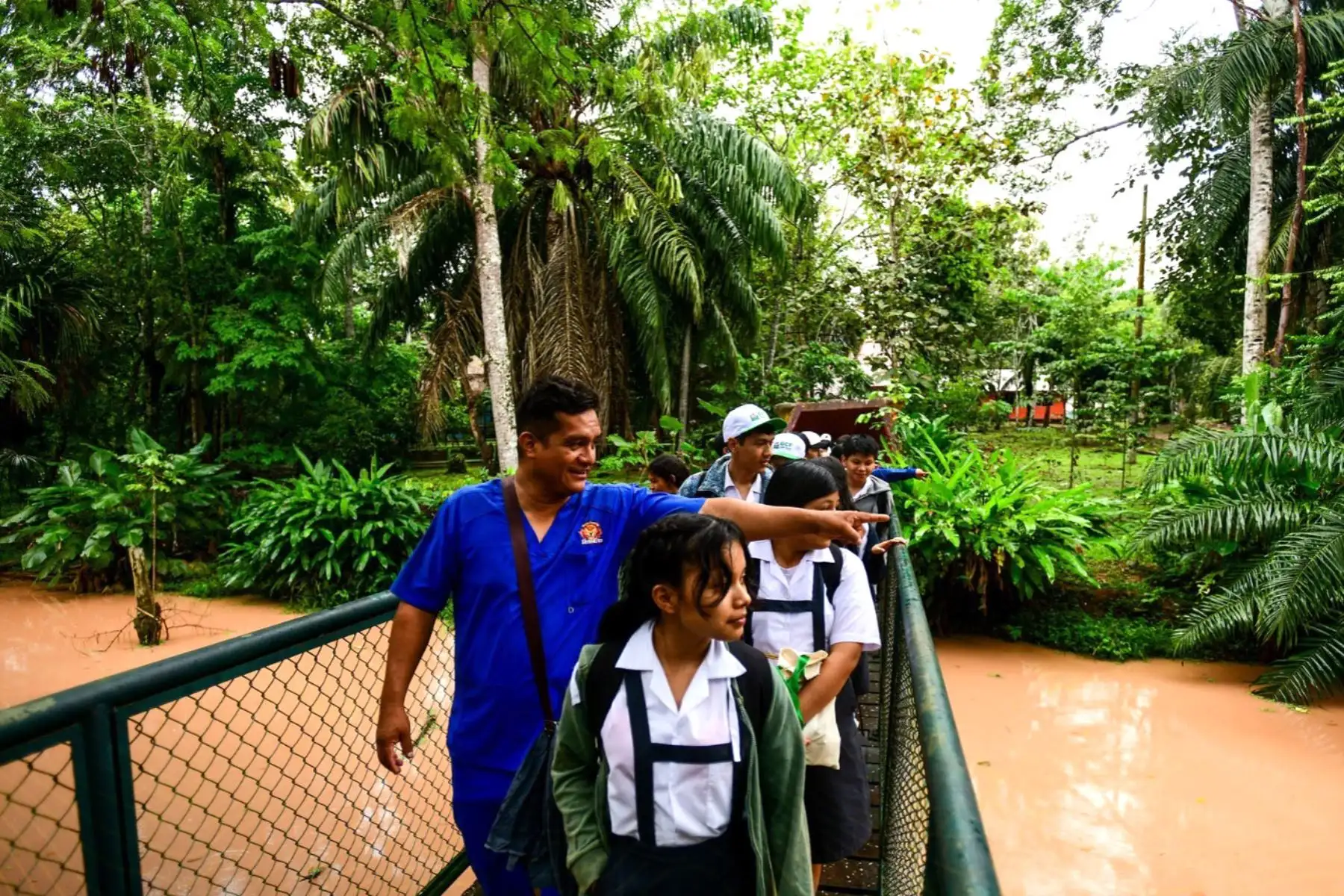 El Zoológico Parque Natural de Pucallpa se encuentra ubicado en el kilómetro 4 de la Carretera Federico Basadre, a solo 10 minutos de la Plaza de Armas y a 5 minutos del aeropuerto.
Foto: ANDINA/Difusión
