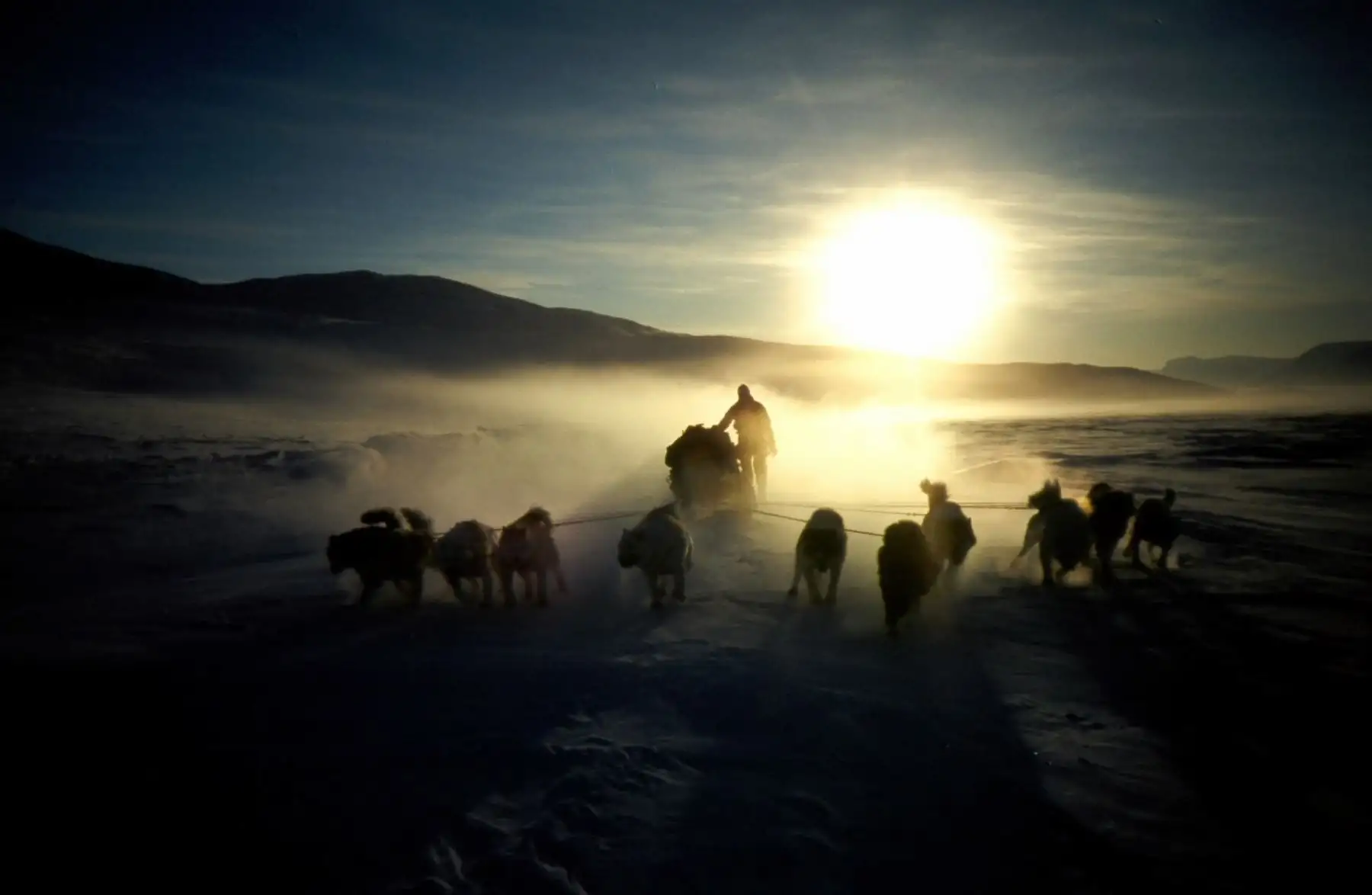 Cuando se trata de garantizar la seguridad en las heladas tierras del norte y del este de Groenlandia en invierno, depende de 2 equipos formados por dos hombres y una docena de perros cada uno. Foto: AFP