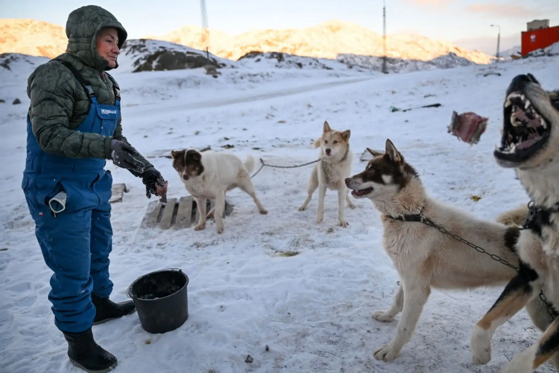 "Si usamos un trineo y no una motonieve es porque los trineos y los perros tienen mucho aguante", afirma a la AFP Sebastian Ravn Rasmussen, un exmiembro de la patrulla Sirius. Foto: AFP