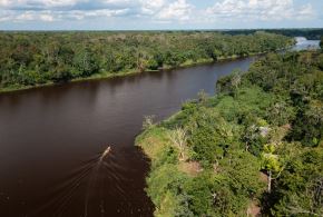 Reserva Nacional Pacaya Samiria. Foto/Imagen: Sernanp